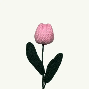 Tulip